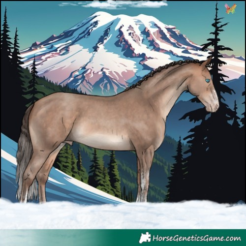Horse Color:Amber Champagne Sabino 