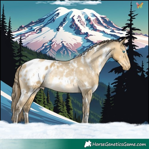 Horse Color:White Spotted Sable Cream Champagne Dun Appaloosa Rabicano 
