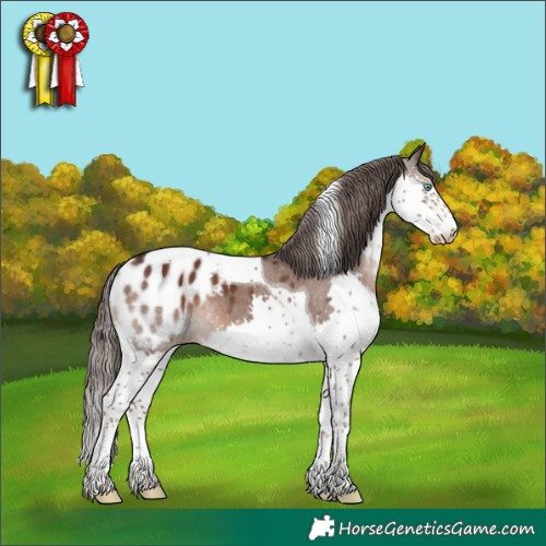 Horse Color:Liver Chestnut Splash Tobiano Blanket 