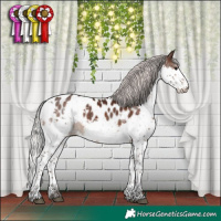 Horse Color:Silver Brown Splash Tobiano Appaloosa 