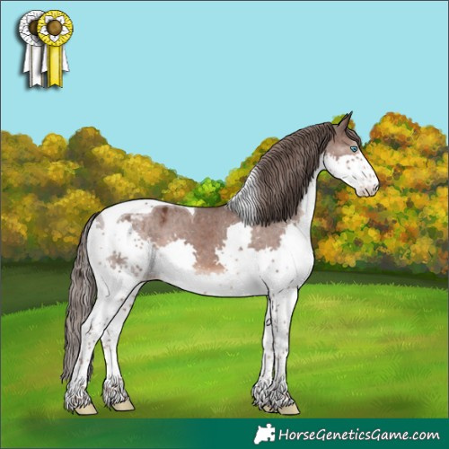 Horse Color:Liver Chestnut Splash Tobiano Varnish 