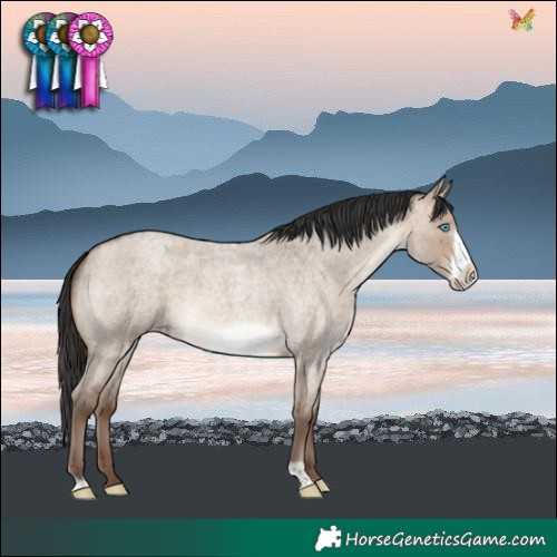 Horse Color:Sable Champagne Roan Dun Frame 