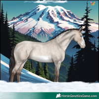 Horse Color:Sable Champagne Roan Dun Frame 