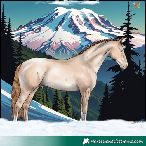 Horse Color:Sable Champagne Pearl Tobiano Rabicano 