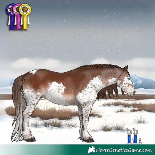 Horse Color:Liver Chestnut Splash Tobiano 