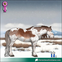 Horse Color:Liver Chestnut Splash Tobiano