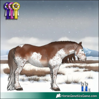 Horse Color:Liver Chestnut Splash Tobiano 