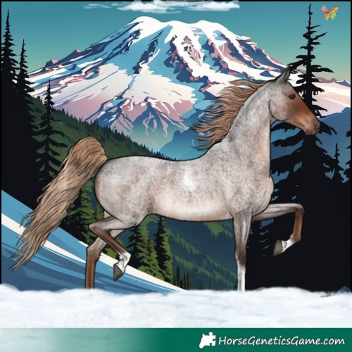 Horse Color:Liver Red Roan Tobiano Rabicano 