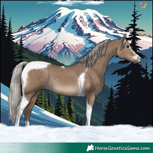 Horse Color:Silver Grullo Tobiano Brindle 