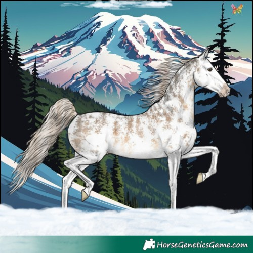Horse Color:Chocolate Palomino Sabino Splash Appaloosa 