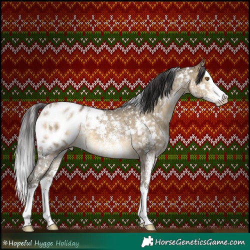 Horse Color:White Spotted Buckskin Dun Sabino Splash Appaloosa Rabicano Brindle 