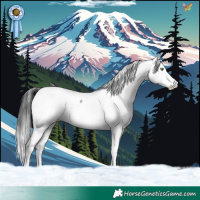 Horse Color:White Spotted Brown Dun Appaloosa Rabicano Brindle 