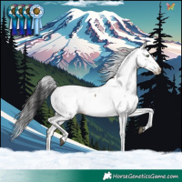 Horse Color:White Spotted Brown Dun Appaloosa Rabicano Brindle