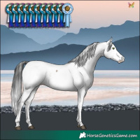 Horse Color:White Spotted Brown Dun Fewspot Rabicano Brindle 