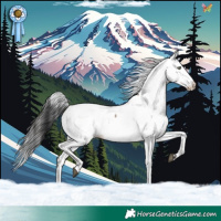 Horse Color:White Spotted Brown Dun Appaloosa Rabicano Brindle 