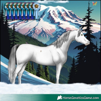 Horse Color:White Spotted Brown Dun Fewspot Rabicano Brindle