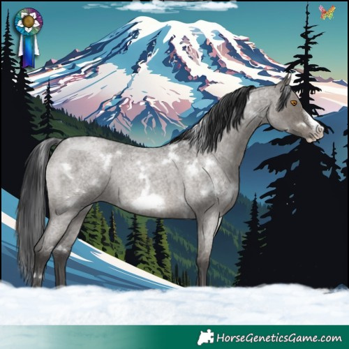 Horse Color:White Spotted Grullo Roan Frame Rabicano Brindle 