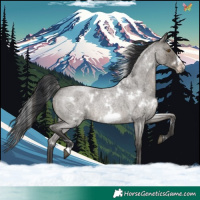 Horse Color:White Spotted Grullo Roan Frame Rabicano Brindle
