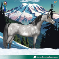 Horse Color:White Spotted Grullo Roan Frame Rabicano Brindle