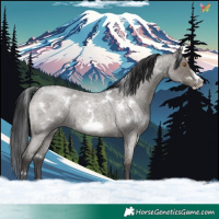 Horse Color:White Spotted Grullo Roan Frame Rabicano Brindle 