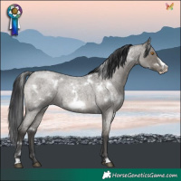Horse Color:White Spotted Grullo Roan Frame Rabicano Brindle