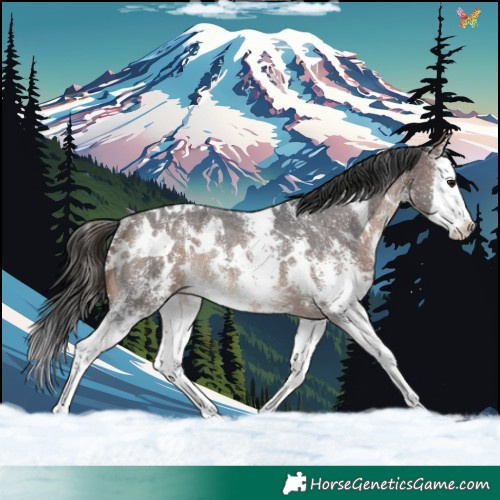 Horse Color:White Spotted Bay Sabino Splash Varnish Rabicano 