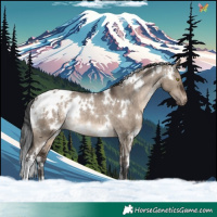 Horse Color:White Spotted Brown Dun Appaloosa Rabicano 