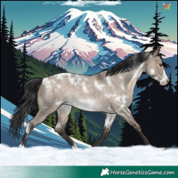 Horse Color:White Spotted Brown Roan Dun Frame 