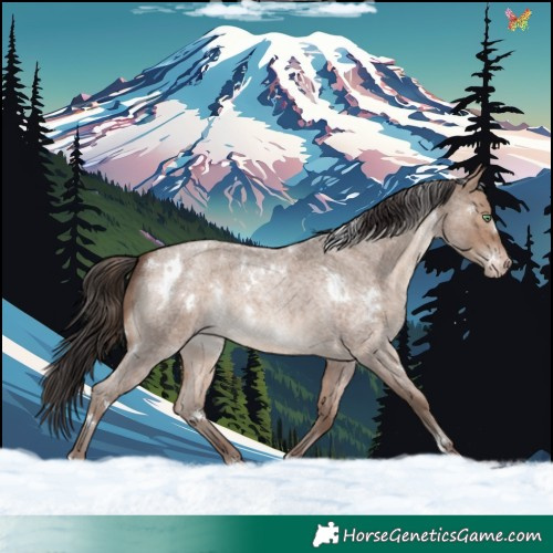 Horse Color:White Spotted Sable Champagne Roan 