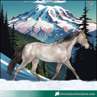 Horse Color:White Spotted Sable Champagne Roan