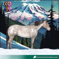 Horse Color:White Spotted Sable Champagne Roan 