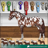 Horse Color:Chocolate Brown Near Leopard 