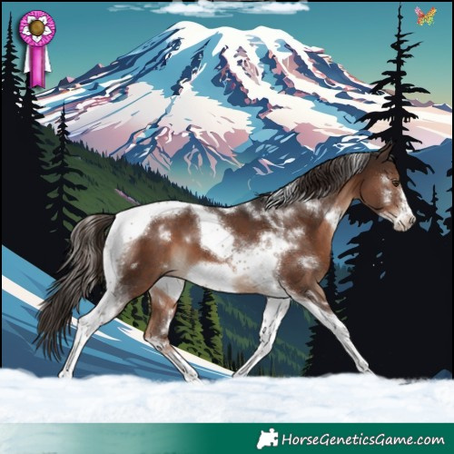 Horse Color:White Spotted Liver Chestnut Tobiano Frame 
