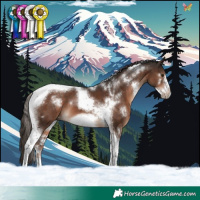 Horse Color:White Spotted Liver Chestnut Tobiano Frame 