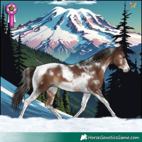 Horse Color:White Spotted Liver Chestnut Tobiano Frame 