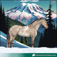 Horse Color:White Spotted Liver Red Dun Tobiano