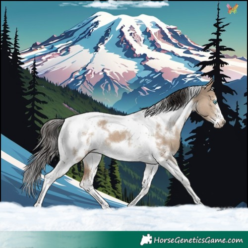 Horse Color:White Spotted Liver Red Dun Tobiano Frame 
