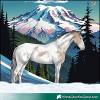 Horse Color:White Spotted Liver Red Dun Tobiano Frame
