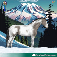 Horse Color:Grullo Tobiano Frame