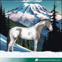 Horse Color:Grullo Tobiano Frame