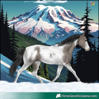 Horse Color:Grullo Tobiano Frame 