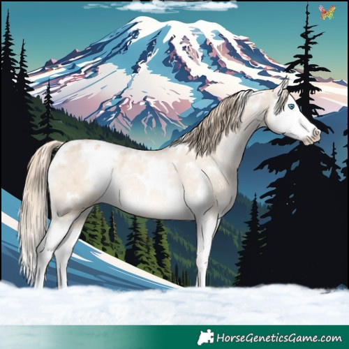 Horse Color:White Spotted Perlino Dun Splash Varnish Rabicano 