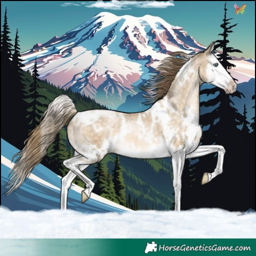 Horse Color:White Spotted Buckskin Pearl Splash Varnish 