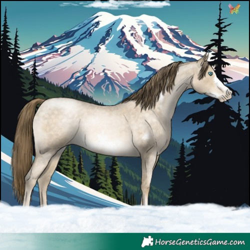 Horse Color:Buckskin Roan Pearl Frame Rabicano 