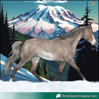 Horse Color:Silver Brown Roan Dun Frame