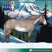 Horse Color:Silver Brown Roan Dun Frame