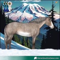 Horse Color:Silver Brown Roan Dun Frame