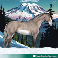 Horse Color:Silver Brown Roan Dun Frame