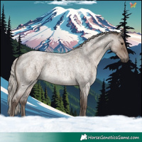 Horse Color:Silver Grullo Roan
