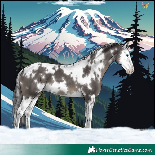 Horse Color:White Spotted Smoky Black Splash 